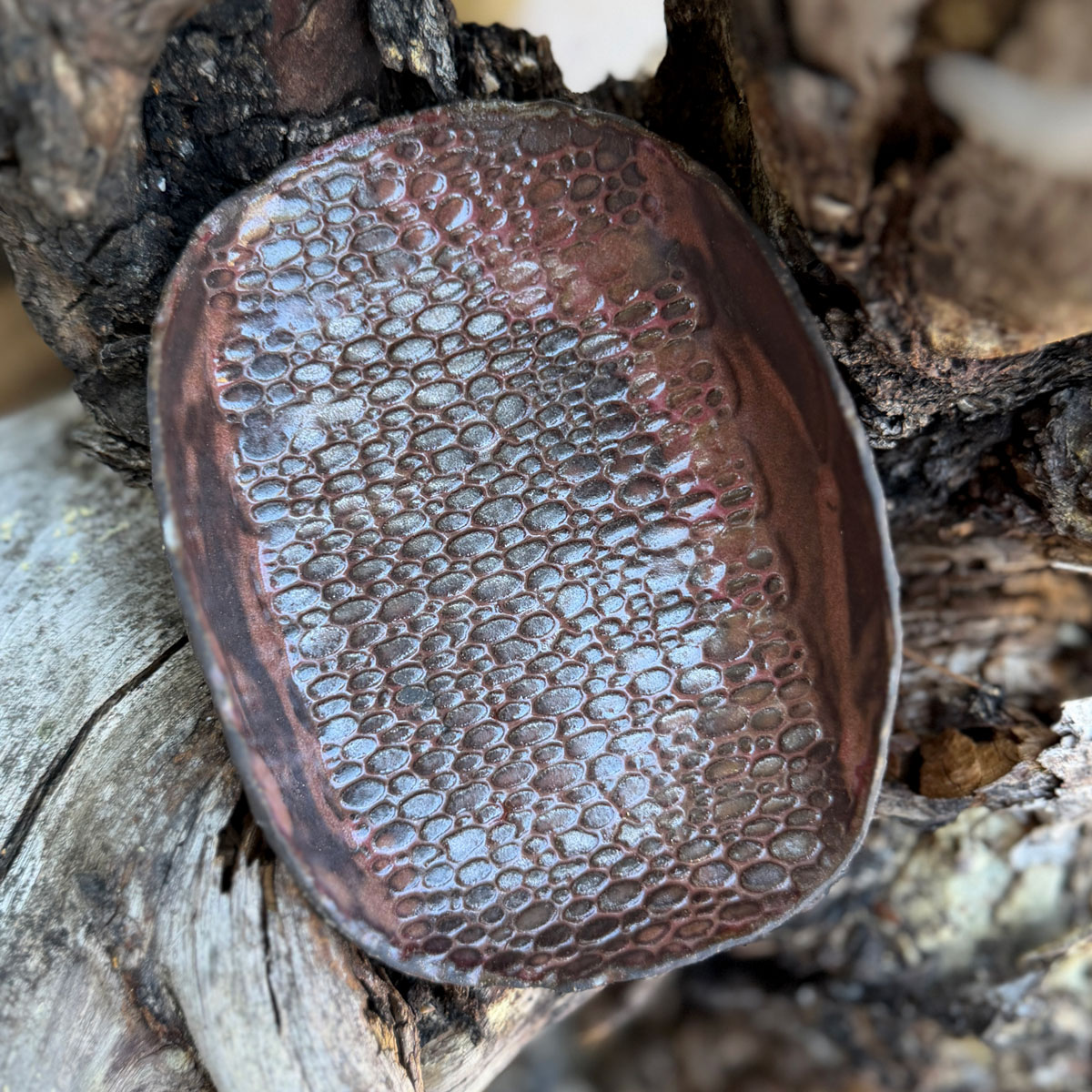 TERRALIS | BOWL